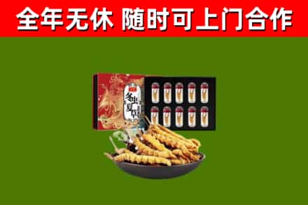 古蔺县回收冬虫夏草价格